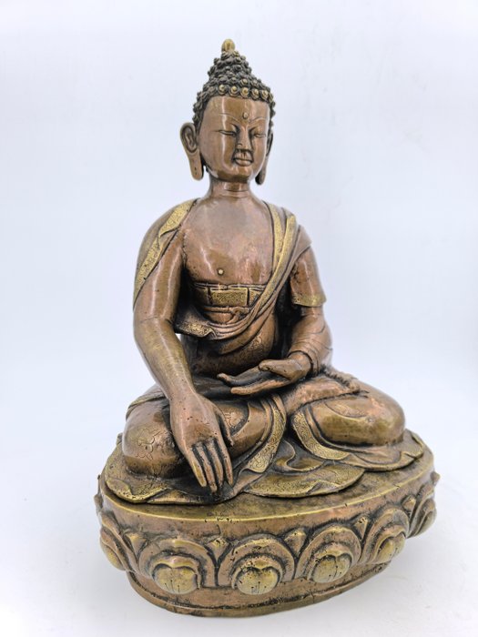 Buddha shakyamuni bronze for sale  