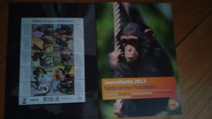 Netherlands 2013 annual for sale  