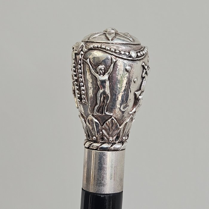Walking stick silver for sale  