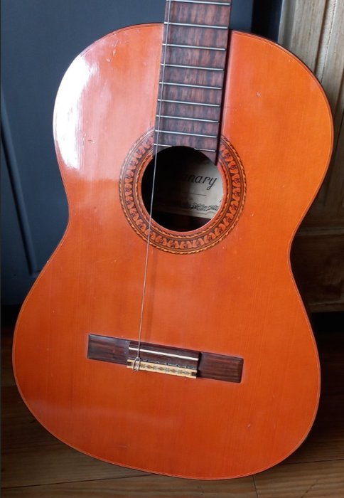 Canary canary acoustic for sale  