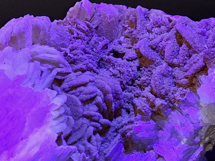 Colemanite covered fluorescent for sale  