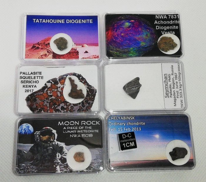 Lot collectible meteorites for sale  