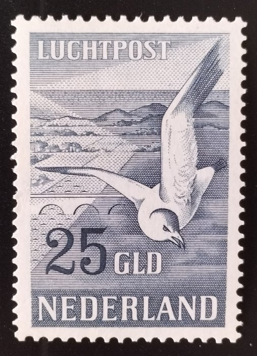 Netherlands 1951 seagull usato  