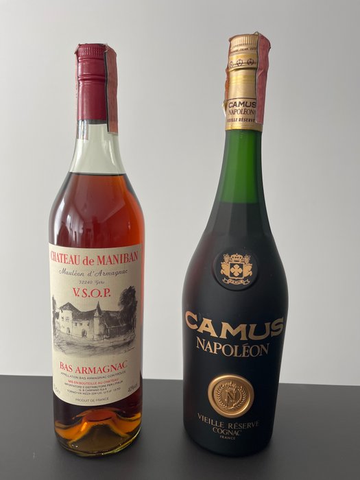 Camus château maniban for sale  
