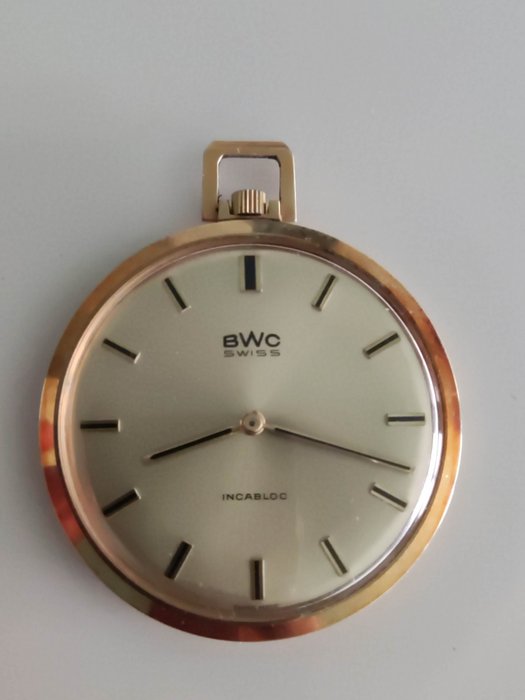 Bwc swiss montre d'occasion  