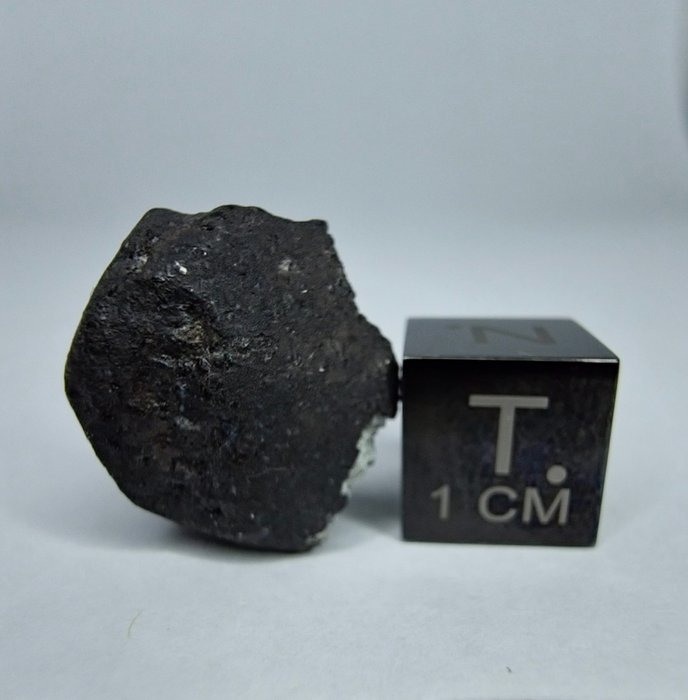 Meteorite menia observed for sale  