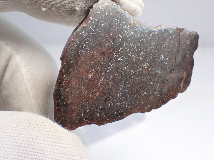 Tassédet 004 meteorite usato  