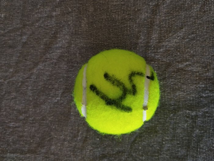 Tennis holguer rune for sale  