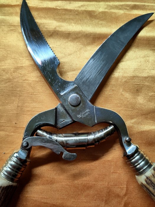 Rehwappen solingen scissors for sale  