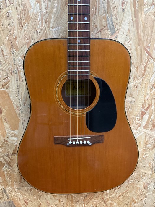 Angelica 2848 acoustic for sale  