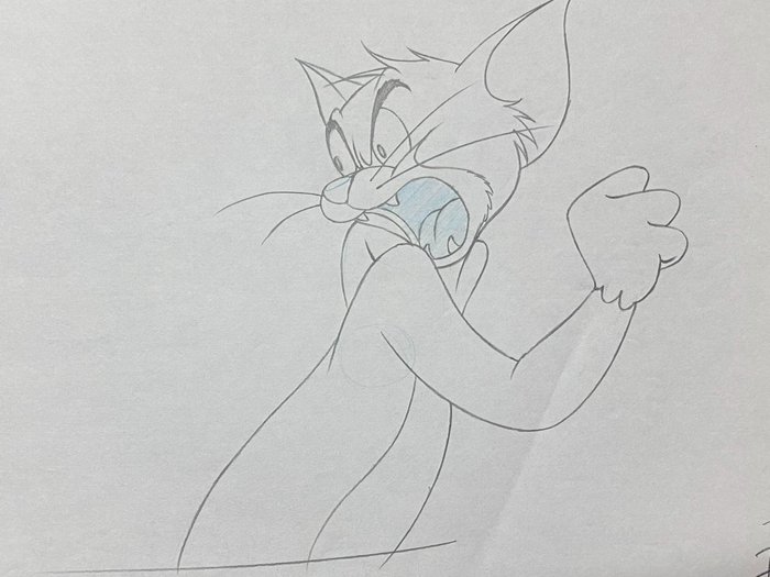 Tom jerry show for sale  