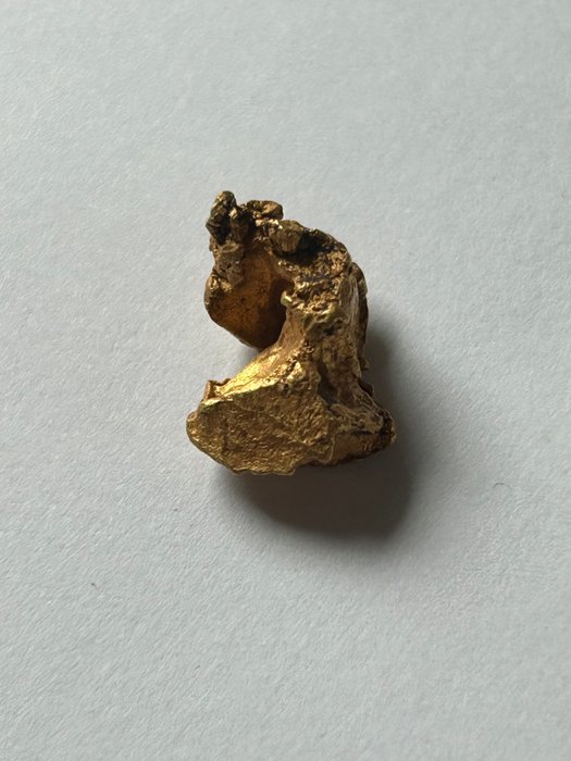 Gold nugget height d'occasion  