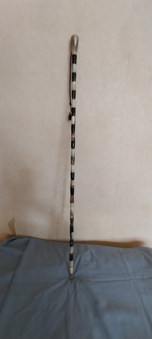 Walking stick horn for sale  