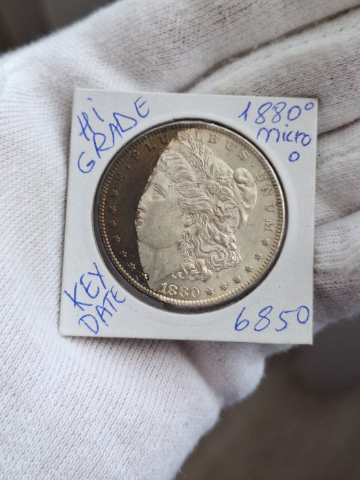 United states. morgan for sale  