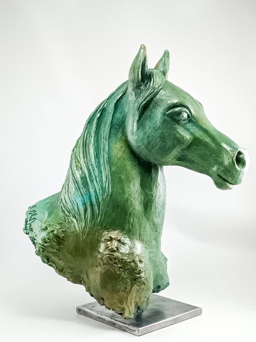 Salvatore alibrio horse for sale  