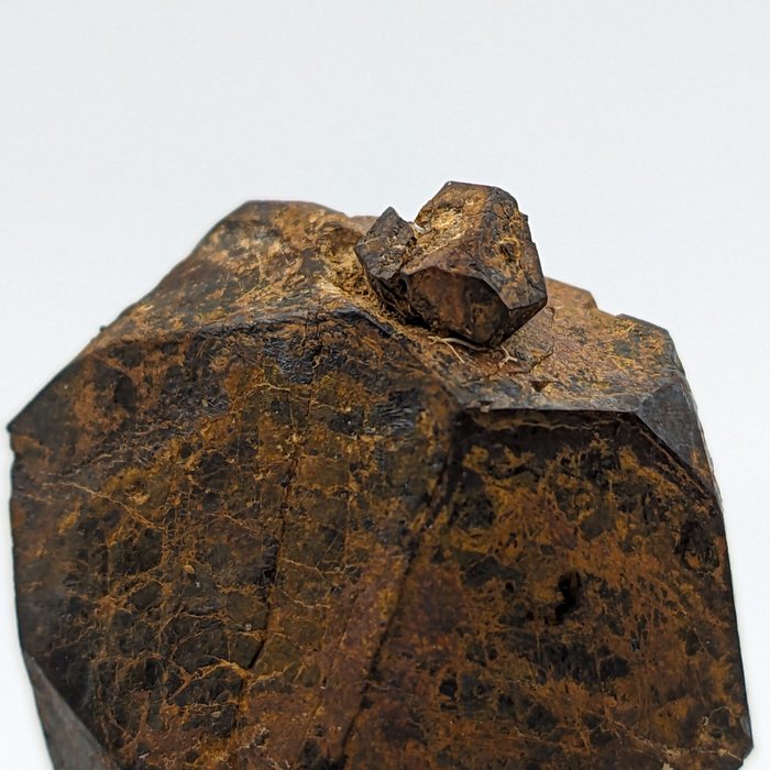 Goethite pseudomorphosis pyrit for sale  