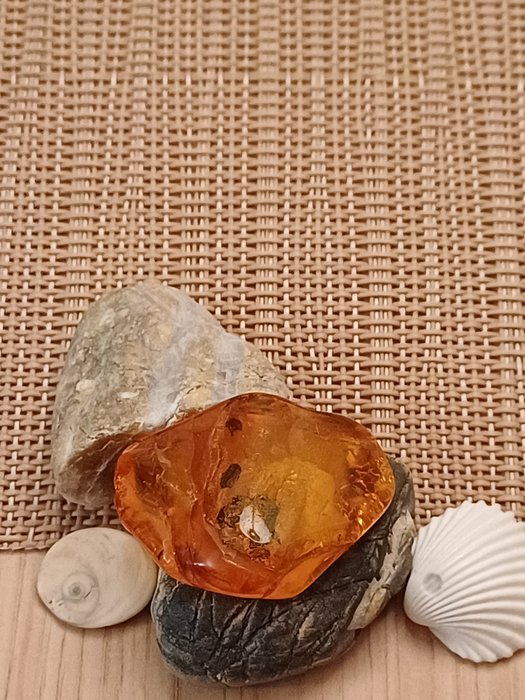 Amber amber ambra usato  