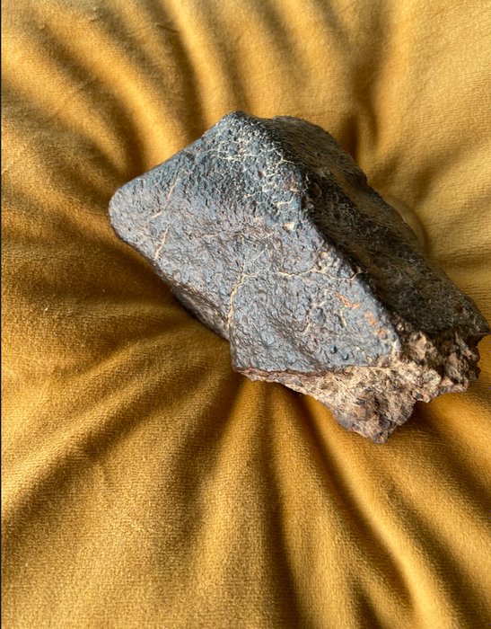 Chondrite meteorite height d'occasion  