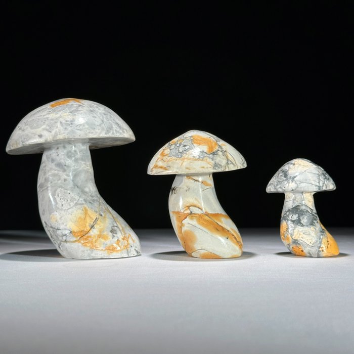 Maligano jasper mushroom for sale  