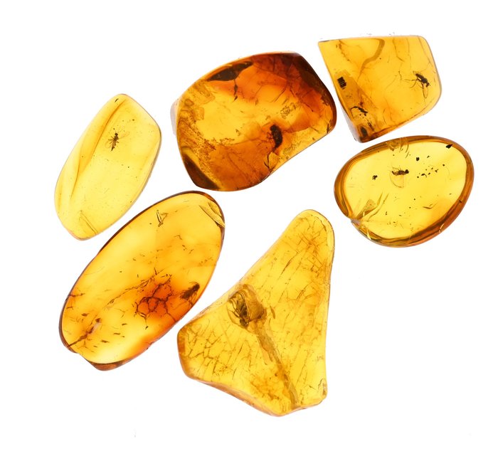 Baltic amber lot for sale  