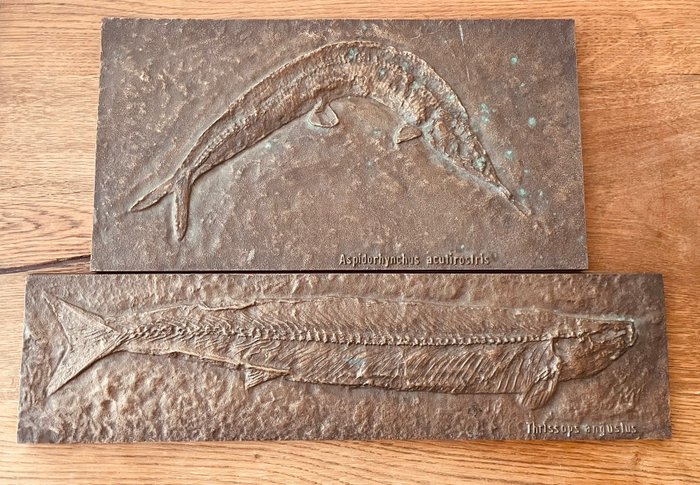 Strassacker plaque bronze d'occasion  