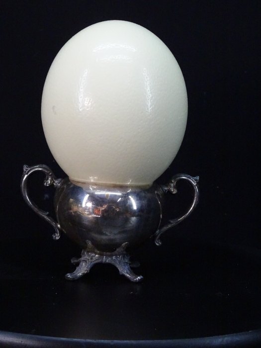 Ostrich egg stand for sale  