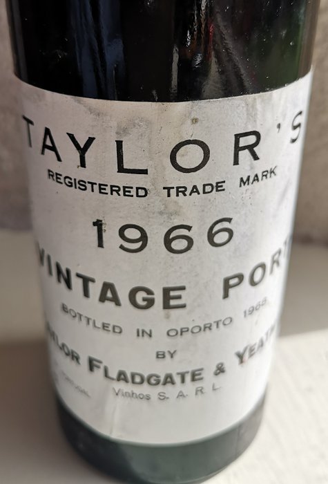 1966 taylor douro for sale  