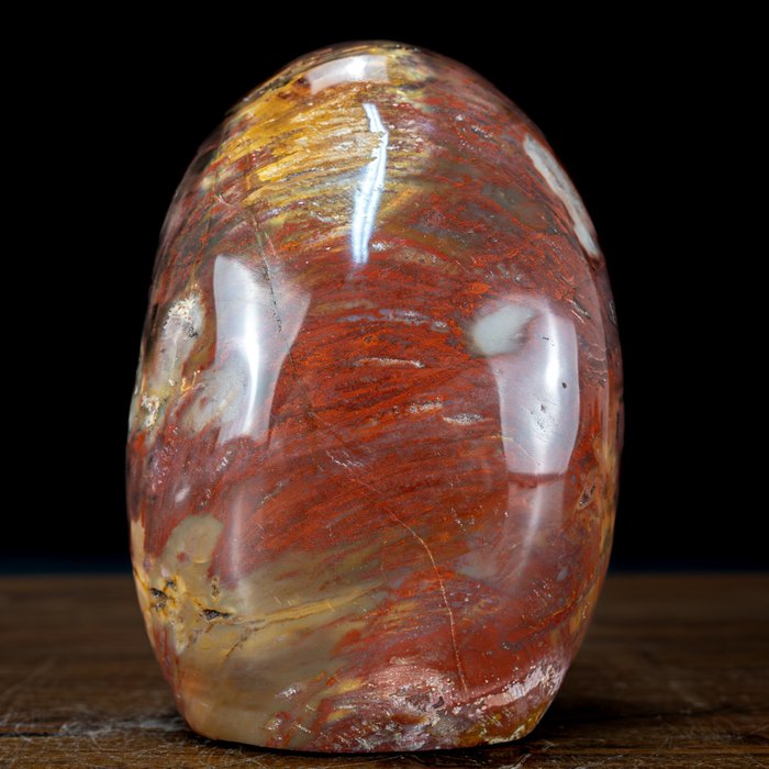 Natural freeform petrified for sale  