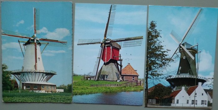 Dutch mills postcard for sale  