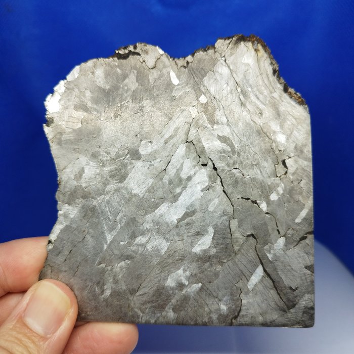 Toluca iron meteorite usato  