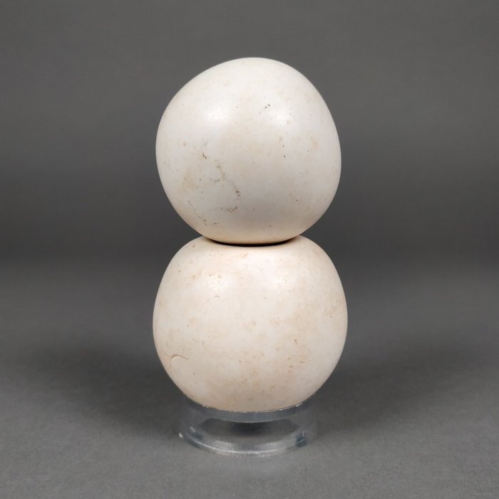 Lonsdaleite sphere height for sale  