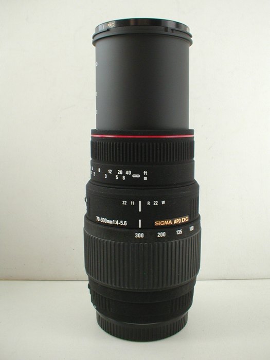 Sigma 300mm 5.6 usato  
