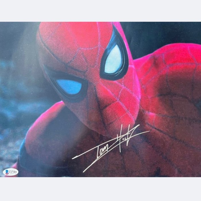 Spider man signed usato  