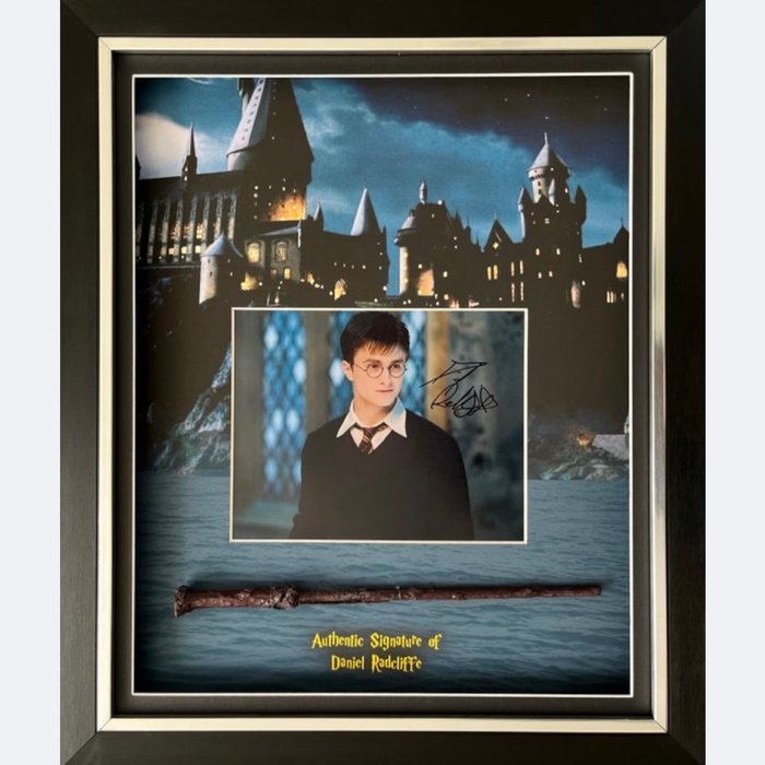 Harry potter signed d'occasion  