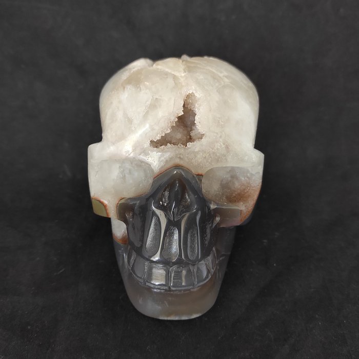 Agate skull height for sale  