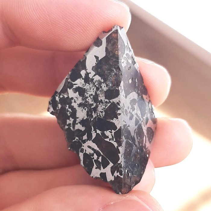 Seymchan meteorite. collection for sale  