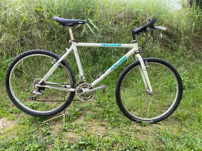 Raleigh technium mountain d'occasion  