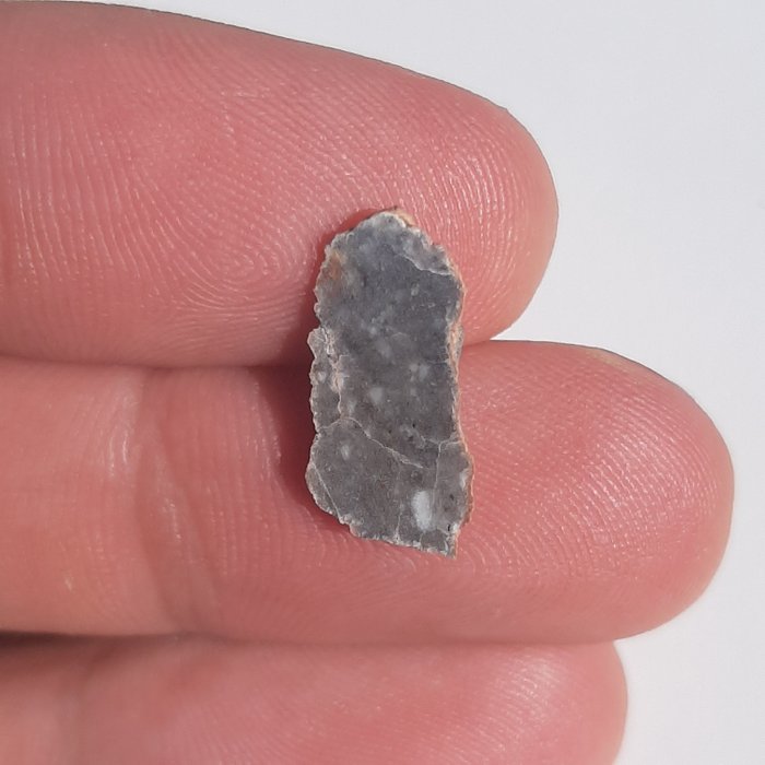 Lunar meteorite. rock for sale  