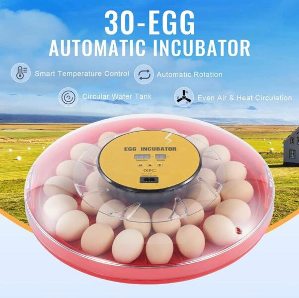 Quail/bird 30 egg incubator *Automatic Turning* for sale  Dundee