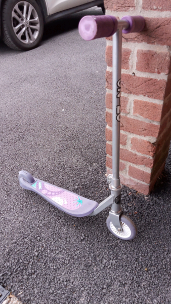 Girls Zinc scooter for sale  Driffield