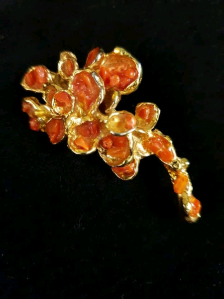 Used, Stunning Coral Brooch for sale  Fraserburgh