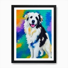 Pyrenean shepherd fauvist for sale  UK