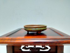 Shohin size bonsai d'occasion  Expédié en Belgium