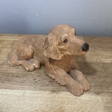 1989 golden retriever for sale  ACCRINGTON