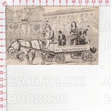 H8020 illustratore polli usato  Como