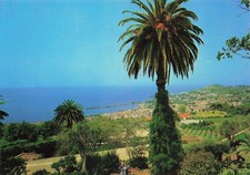 Madere funchal botanical d'occasion  Expédié en Belgium