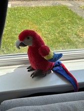 Ravensden parrot macaw for sale  NEWTON-LE-WILLOWS