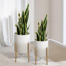 Gradient planter stand for sale  SALFORD