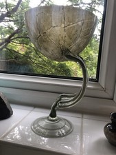 Jozefina krosno sage for sale  BASINGSTOKE