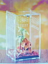 Kit elevage terrarium d'occasion  Saintes